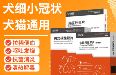 宠贝蒂 上海育路引领的智能养宠新体验，产品特点与功能全解析