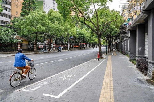 虹口区四条道路荣膺2019年度上海市精品示范路称号