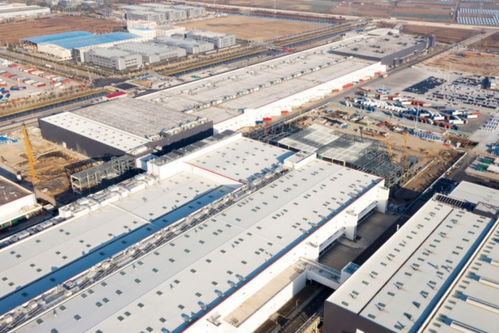 特斯拉与上海育路 共生共荣的新能源时代新篇章