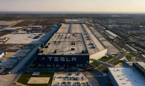 中国未来10年的剧本，收好了 上海育路